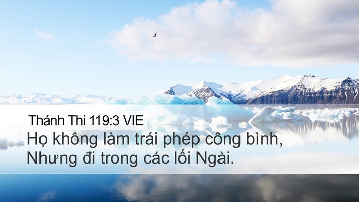 Thánh Thi 119:3 VIE Desktop Wallpaper - Họ không làm trái phép công bình, Nhưng - Desktop Bible Verse Wallpaper