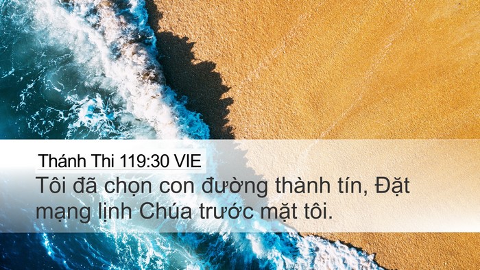 Thánh Thi 119:30 VIE Bible Verse Image