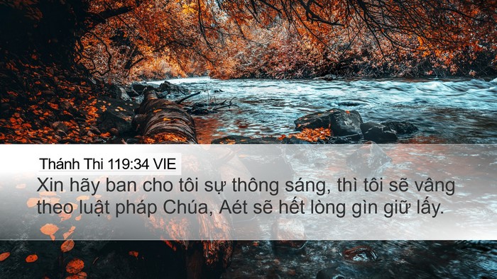 Thánh Thi 119:34 VIE Desktop Wallpaper - Xin hãy ban cho tôi sự thông sáng, thì - Desktop Bible Verse Wallpaper
