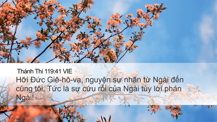 Thánh Thi 119:41 VIE Desktop Wallpaper - Hỡi Đức Giê-hô-va, nguyện sự nhân - Desktop Bible Verse Wallpaper