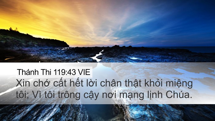 Thánh Thi 119:43 VIE Bible Verse Image