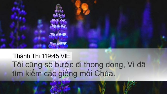Thánh Thi 119:45 VIE Desktop Wallpaper - Tôi cũng sẽ bước đi thong dong, Vì đã - Desktop Bible Verse Wallpaper