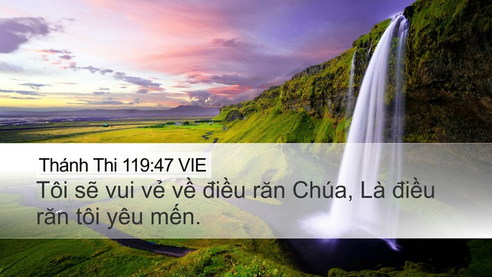 Thánh Thi 119:47 VIE Bible Verse Image