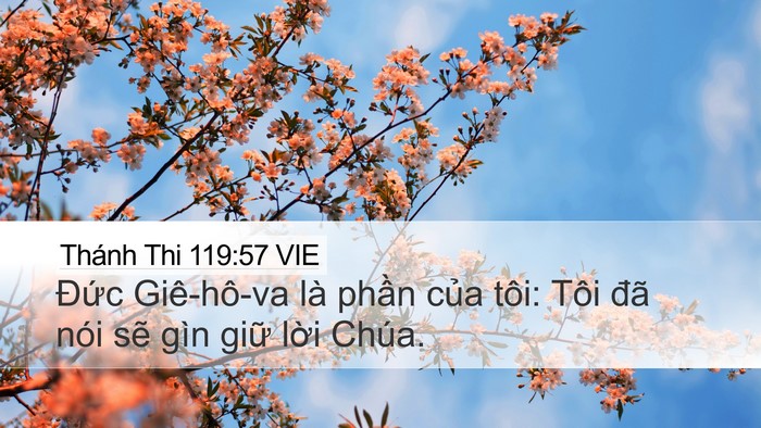 Thánh Thi 119:57 VIE Bible Verse Image