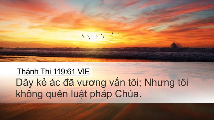 Thánh Thi 119:61 VIE Bible Verse Image