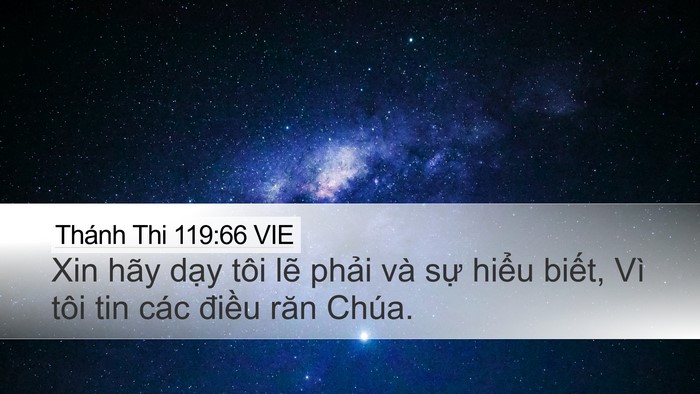 Thánh Thi 119:66 VIE Desktop Wallpaper - Xin hãy dạy tôi lẽ phải và sự hiểu - Desktop Bible Verse Wallpaper