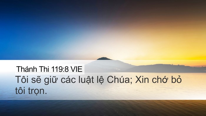Thánh Thi 119:8 VIE Desktop Wallpaper - Tôi sẽ giữ các luật lệ Chúa; Xin chớ - Desktop Bible Verse Wallpaper