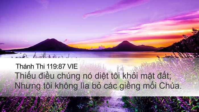 Thánh Thi 119:87 VIE Desktop Wallpaper - Thiếu điều chúng nó diệt tôi khỏi - Desktop Bible Verse Wallpaper