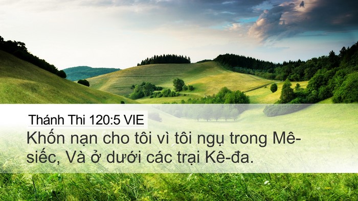 Thánh Thi 120:5 VIE Desktop Wallpaper - Khốn nạn cho tôi vì tôi ngụ trong - Desktop Bible Verse Wallpaper