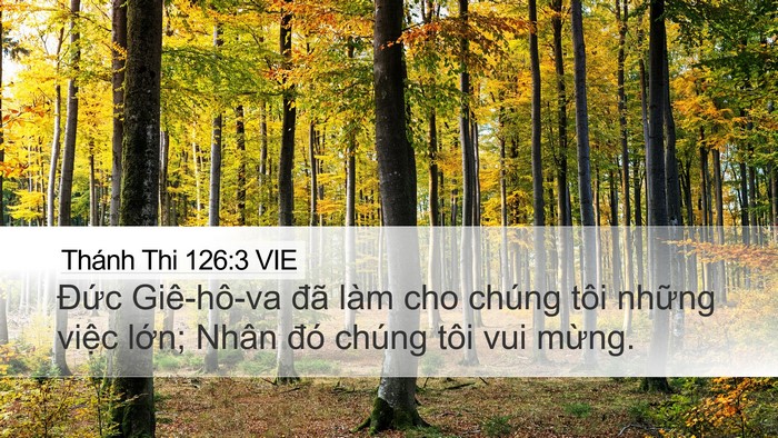 Thánh Thi 126:3 VIE Bible Verse Image