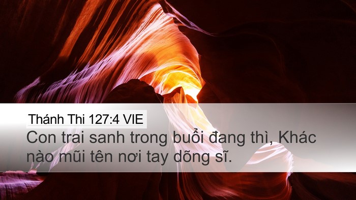 Thánh Thi 127:4 VIE Bible Verse Image