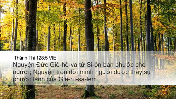 Thánh Thi 128:5 VIE Desktop Wallpaper - Nguyện Đức Giê-hô-va từ Si-ôn ban - Desktop Bible Verse Wallpaper