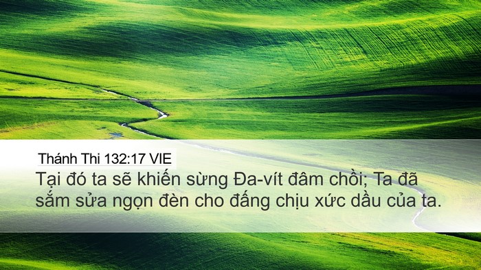 Thánh Thi 132:17 VIE Bible Verse Image