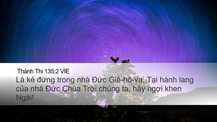 Thánh Thi 135:2 VIE Desktop Wallpaper - Là kẻ đứng trong nhà Đức Giê-hô-va, - Desktop Bible Verse Wallpaper
