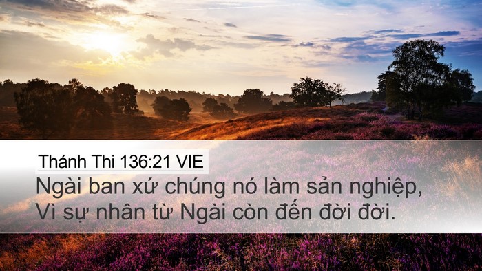 Thánh Thi 136:21 VIE Bible Verse Image