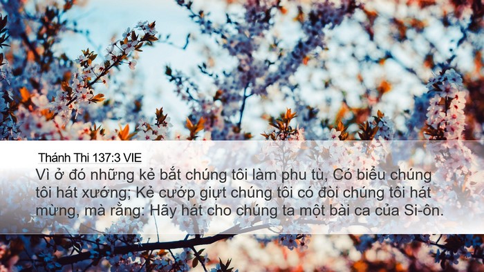 Thánh Thi 137:3 VIE Desktop Wallpaper - Vì ở đó những kẻ bắt chúng tôi làm - Desktop Bible Verse Wallpaper