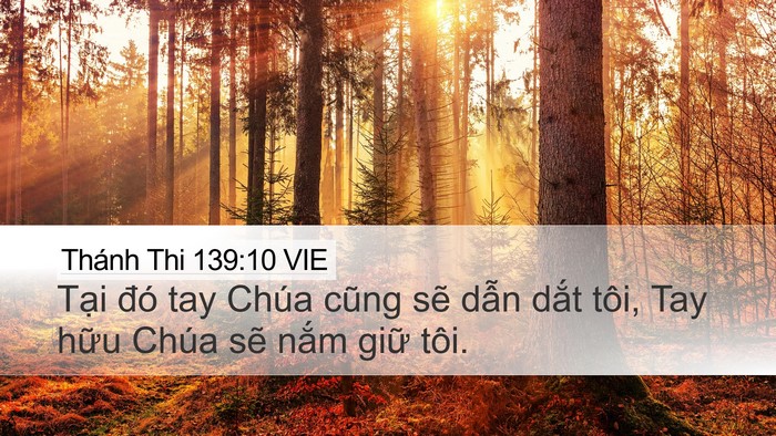 Thánh Thi 139:10 VIE Desktop Wallpaper - Tại đó tay Chúa cũng sẽ dẫn dắt tôi, - Desktop Bible Verse Wallpaper