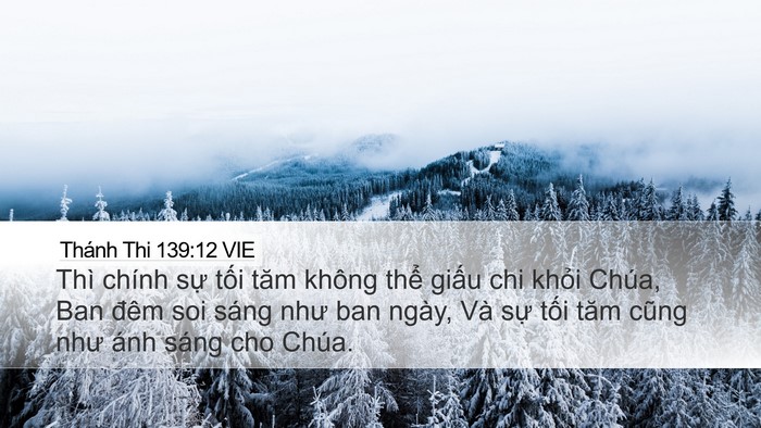 Thánh Thi 139:12 VIE Bible Verse Image