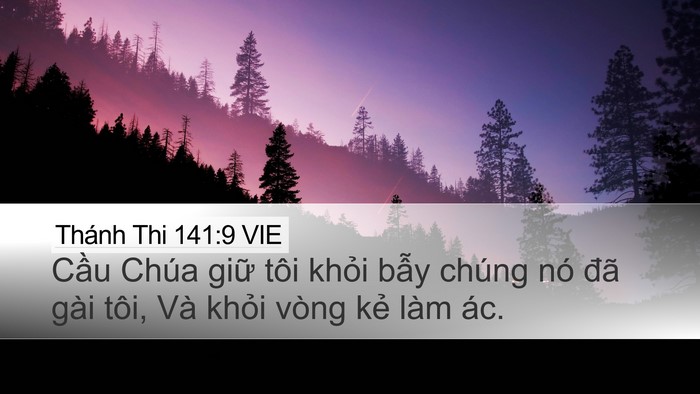 Thánh Thi 141:9 VIE Bible Verse Image
