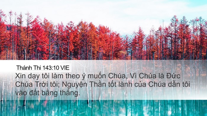 Thánh Thi 143:10 VIE Bible Verse Image