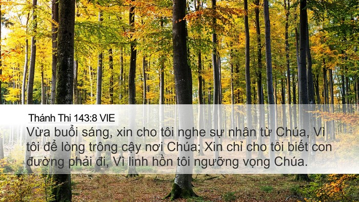 Thánh Thi 143:8 VIE Bible Verse Image