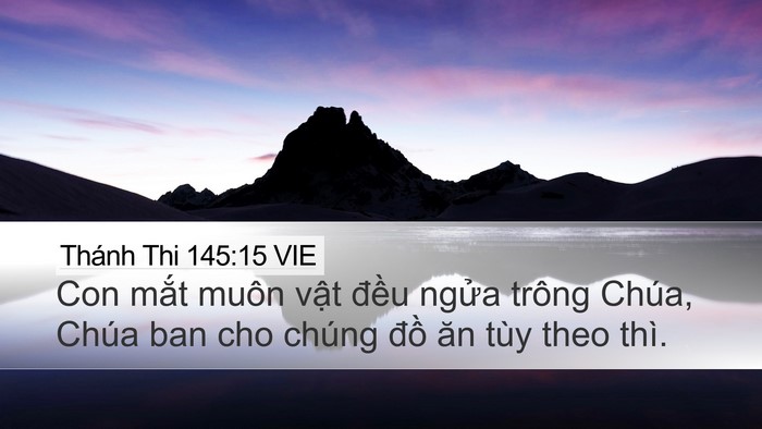 Thánh Thi 145:15 VIE Bible Verse Image