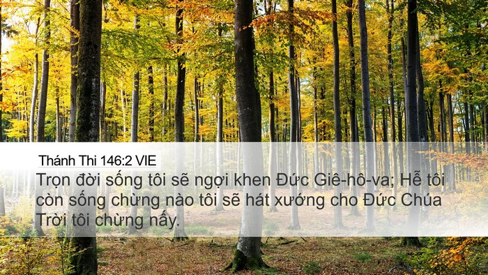 Thánh Thi 146:2 VIE Desktop Wallpaper - Trọn đời sống tôi sẽ ngợi khen Đức - Desktop Bible Verse Wallpaper