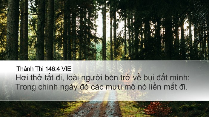Thánh Thi 146:4 VIE Desktop Wallpaper - Hơi thở tắt đi, loài người bèn trở - Desktop Bible Verse Wallpaper