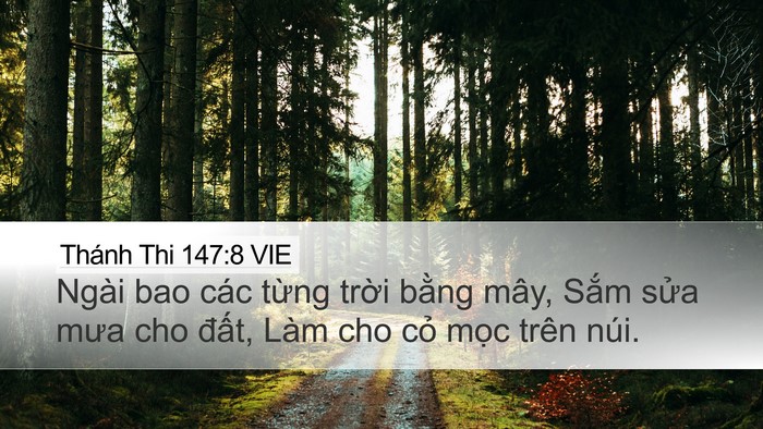 Thánh Thi 147:8 VIE Desktop Wallpaper - Ngài bao các từng trời bằng mây, Sắm - Desktop Bible Verse Wallpaper