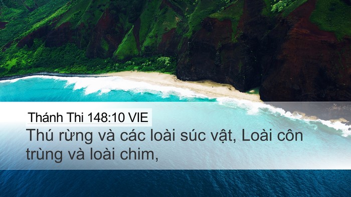 Thánh Thi 148:10 VIE Bible Verse Image