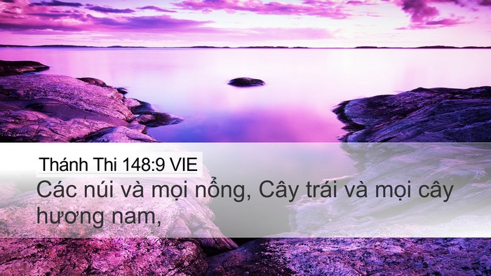 Thánh Thi 148:9 VIE Desktop Wallpaper - Các núi và mọi nổng, Cây trái và mọi - Desktop Bible Verse Wallpaper