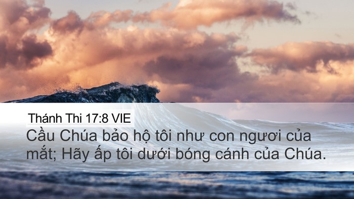 Thánh Thi 17:8 VIE Bible Verse Image