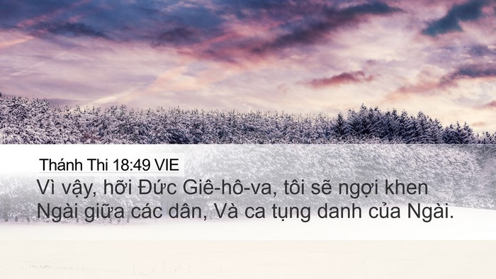 Thánh Thi 18:49 VIE Bible Verse Image