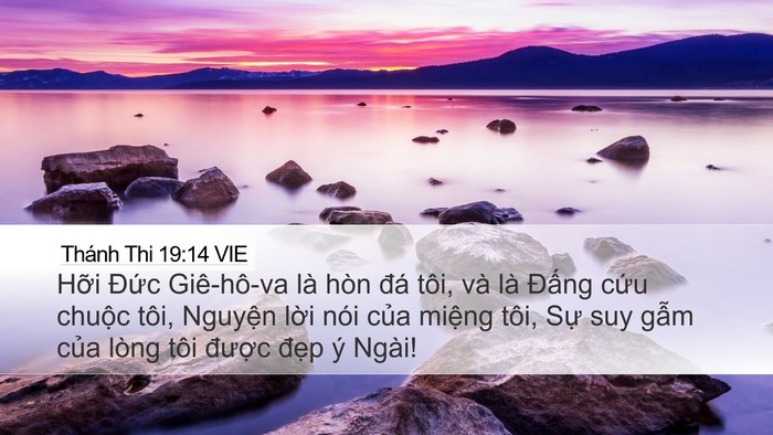 Thánh Thi 19:14 VIE Bible Verse Image