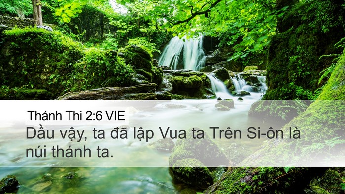 Thánh Thi 2:6 VIE Desktop Wallpaper - Dầu vậy, ta đã lập Vua ta Trên Si-ôn - Desktop Bible Verse Wallpaper