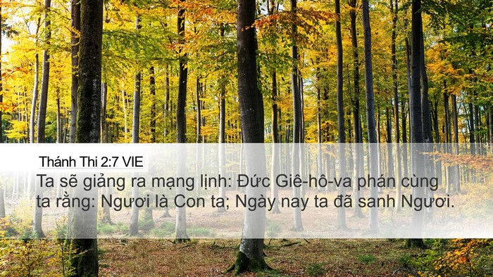 Thánh Thi 2:7 VIE Bible Verse Image