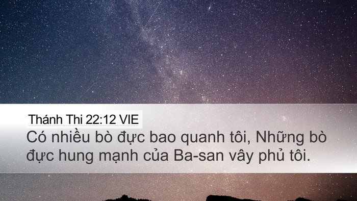 Thánh Thi 22:12 VIE Bible Verse Image
