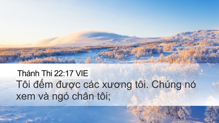 Thánh Thi 22:17 VIE Bible Verse Image