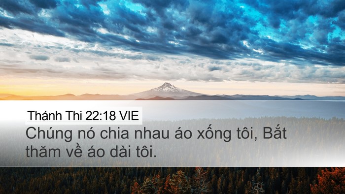 Thánh Thi 22:18 VIE Desktop Wallpaper - Chúng nó chia nhau áo xống tôi, Bắt thăm - Desktop Bible Verse Wallpaper