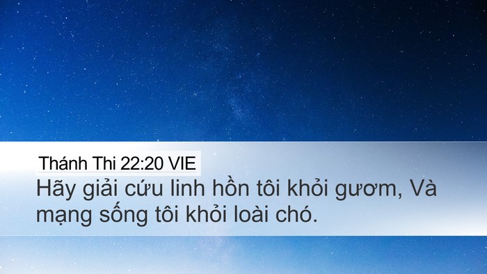 Thánh Thi 22:20 VIE Bible Verse Image
