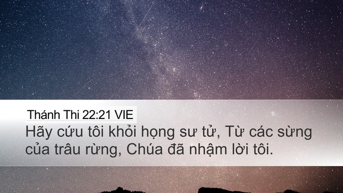 Thánh Thi 22:21 VIE Bible Verse Image