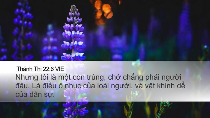 Thánh Thi 22:6 VIE Bible Verse Image