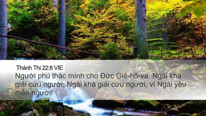 Thánh Thi 22:8 VIE Bible Verse Image