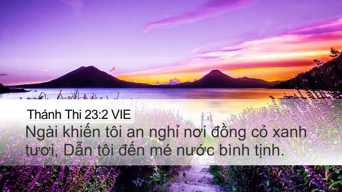 Thánh Thi 23:2 VIE Desktop Wallpaper - Ngài khiến tôi an nghỉ nơi đồng cỏ - Desktop Bible Verse Wallpaper