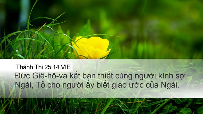 Thánh Thi 25:14 VIE Bible Verse Image