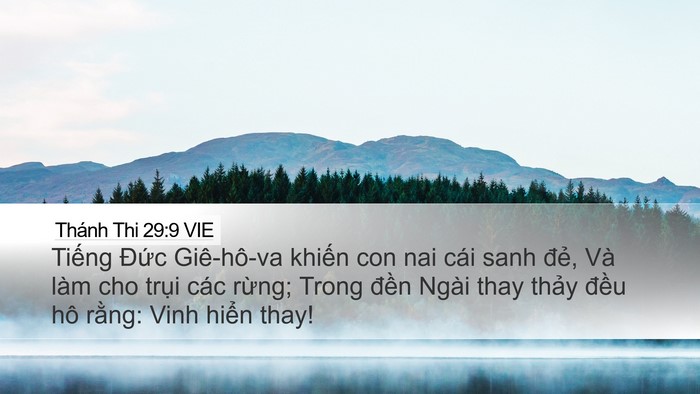 Thánh Thi 29:9 VIE Bible Verse Image