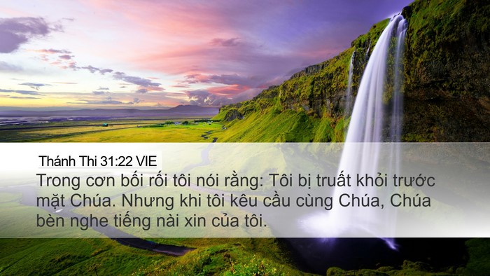 Thánh Thi 31:22 VIE Bible Verse Image