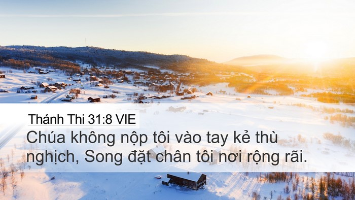 Thánh Thi 31:8 VIE Bible Verse Image