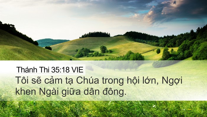 Thánh Thi 35:18 VIE Bible Verse Image