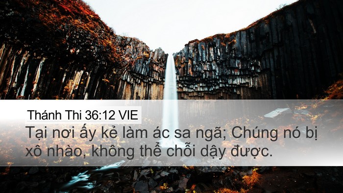 Thánh Thi 36:12 VIE Bible Verse Image